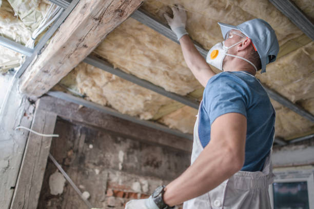 Best Specialized Insulation Services in Aberdeen, MD